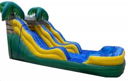 jungle20palm20water20slide20rental20tulsa20oklahoma202 423883034 12ft Jungle Palm Water Slide