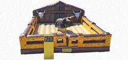 Mechanical Bull