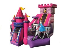 Princess KidZone (Dry)