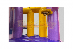 Backyard Combo Dazzling Castle